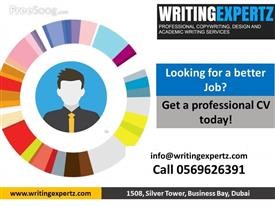 Executive Resume Writing Services Chicago